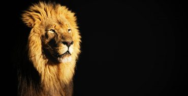 A Matter of Your Pride!