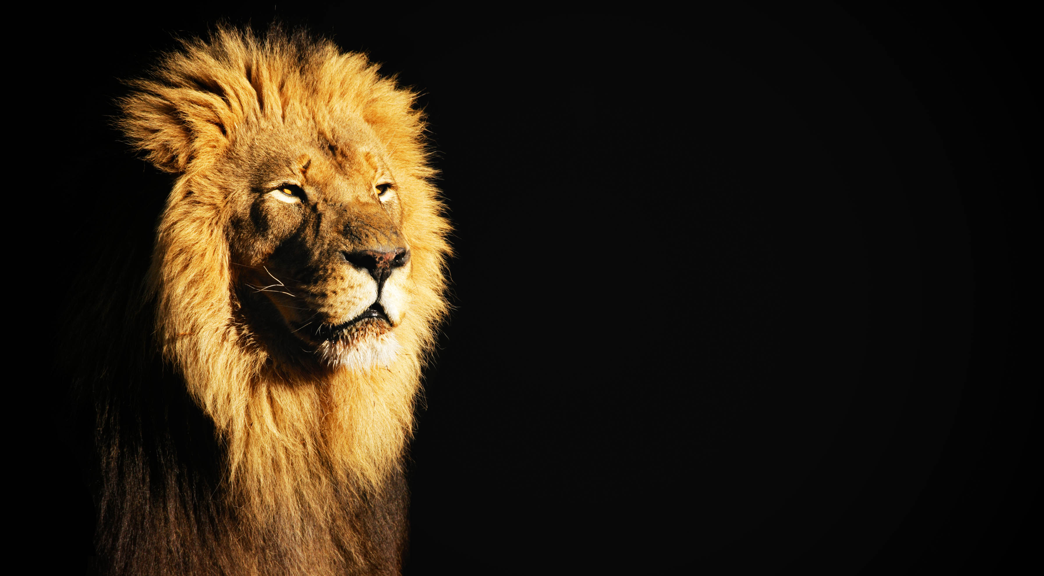 A Matter of Your Pride skc world